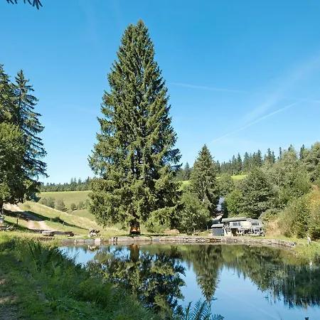 Апартаменты Grundhaeusle *